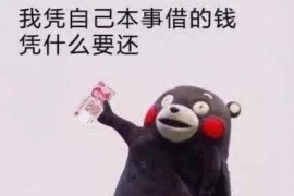 宜秀商账追讨清欠服务